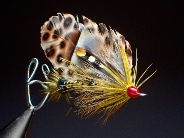 Jumbo.425.SSP
