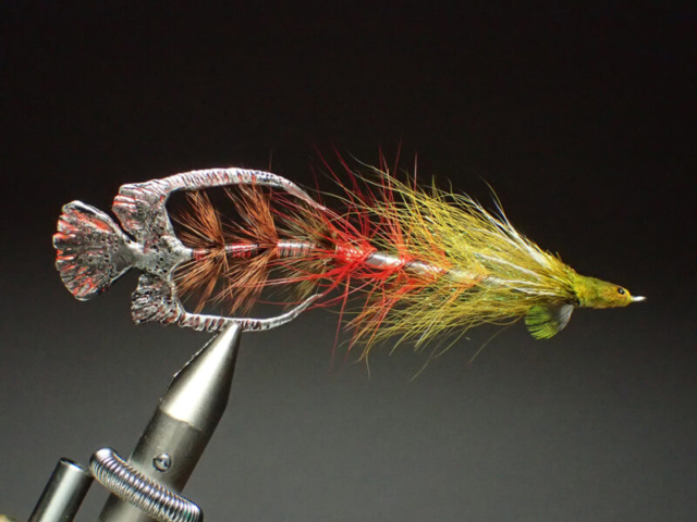Your-Turn.325.SSP