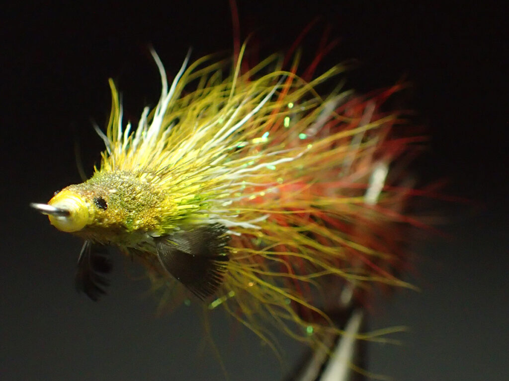 Your-Turn.325.SSP.det1