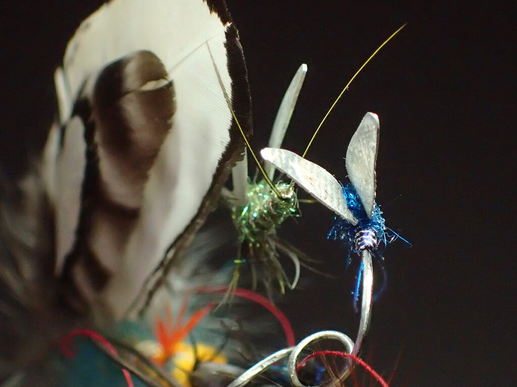 Doc's House.1024.SSP detail